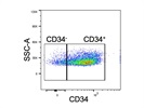 Bright and Accurate CD34 BioLegend Antibody