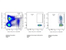Good CXCR3 Antibody from BioLegend