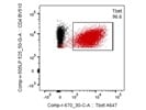 A Good Anti-T-Bet BioLegend Antibody