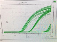 Great, Easy-to-Use PCR Master Mix