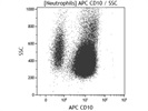 A Good APC Anti-Human CD10 Antibody