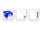 Good Anti-Mouse CD183 (CXCR3)