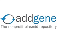 Serotype Testing AAV, Available From Addgene