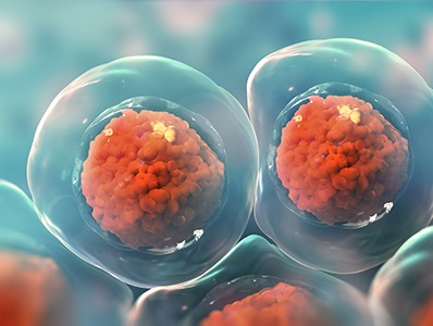  Choosing the Right Cells for Your Experiments