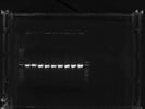 PCR Master Mix for Superior Performance