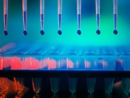 Reducing Pain and Strain: The Ergonomics of Pipetting
