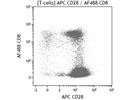 Clear Staining with This CD28 Antibody from BioLegend