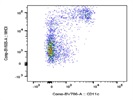 This BioLegend Antibody Stains CD11c+ Cells Very Well