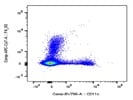 This BioLegend Antibody Stains F4/80+ Cells Very Well