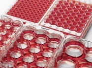Reproducibility and Safety