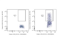 Anti-Human Ki67 that Also Stains Mouse Ki67 (BD Biosciences)