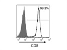 Quality Antibody for Assessing CD8 Expression on Peripheral CD8+ T Cells by Flow Cytometry
