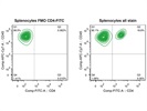 CD4-FITC for Flow Cytometry of Mouse Splenocytes