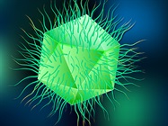 Adventures with Imaging Flow Cytometry: Aging Cells, Giant Viruses and Golgi Fragmentation