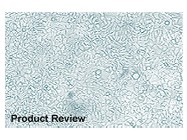 SatisFection™ Transfection Reagent From Stratagene