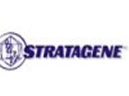 Stratagene's QuikChange Mutagenesis Kit