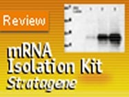 Poly(A) Quik mRNA Isolation Kit