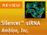 Ambion’s Silencer siRNA Construction Kit