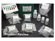 Amino Allyl MessageAmp™ II aRNA Amplification Kit From Ambion