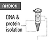 TRI Reagent® From Ambion