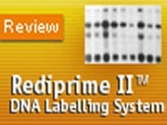 Rediprime II DNA Labelling System from GE Healthcare