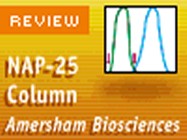GE Healthcare's NAP-25 Column