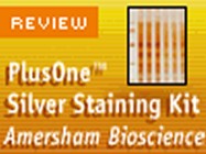 GE Healthcare PlusOne® Silver Staining Kit, Protein