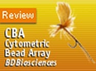 BD Pharmingen's Cytometric Bead Array (CBA) Kit
