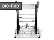 Sequi-Gen® GT From Bio-Rad