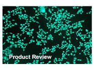 BioRad's HEKFectin