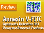 Calbiochem Annexin V-FITC Apoptosis Detection Kit