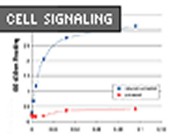 Pathscan® Phospho-Histone H3 (Ser10) Sandwich ELISA Kit From Cell Signaling Technologies