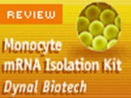 Dynal Monocyte mRNA Isolation Kit