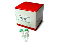 SYBR® GreenER™ Two-Step qRT-PCR Kit for ABI PRISM® From Invitrogen