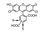 ROS Detection Reagent: CM-H<sub>2</sub>DCFDA From Invitrogen