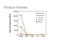 Ncode™ Multi-species miRNA Microarray  Kit  From Invitrogen