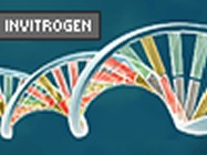 biocompare