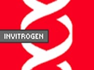 Invitrogen's DNA DipStick Kit