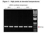 ThermoScript™ RT-PCR System for First-Strand cDNA Synthesis From Invitrogen