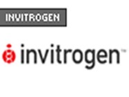 Fluorescently Labeled Phalloidins From Molecular Probes, Invitrogen