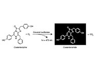Gaussia Luciferase Assay Kit From New England Biolabs