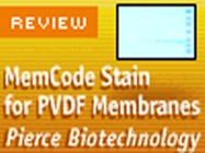 Pierce Biotechnology’s MemCode Stain For PVDF Membranes