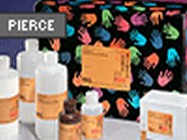 LightShift EMSA Kit From Pierce