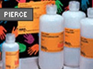 Chemiluminescent Nucleic Acid Detection Module From Pierce