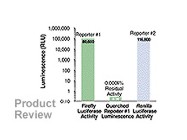 Dual-Luciferase® Reporter Assay System From Promega