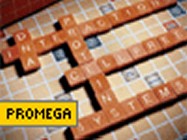 Promega’s TnT Quick Coupled Transcription/Translation Systems