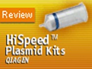 Qiagen HiSpeed Plasmid Purification Kit