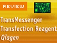Qiagen’s TransMessenger Transfection Reagent