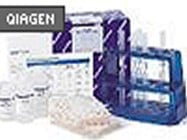 Plasmid Maxi Kit From Qiagen