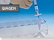 HiSpeed Plasmid Maxi Kit From Qiagen